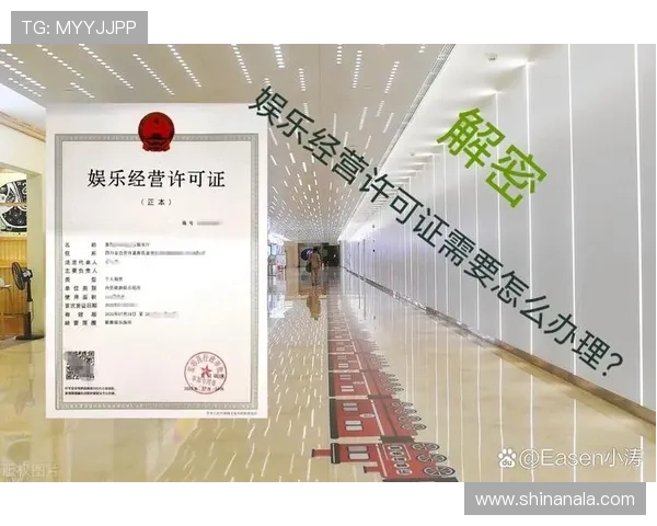 会理娱乐场所的经营许可证办理流程与注意事项详解